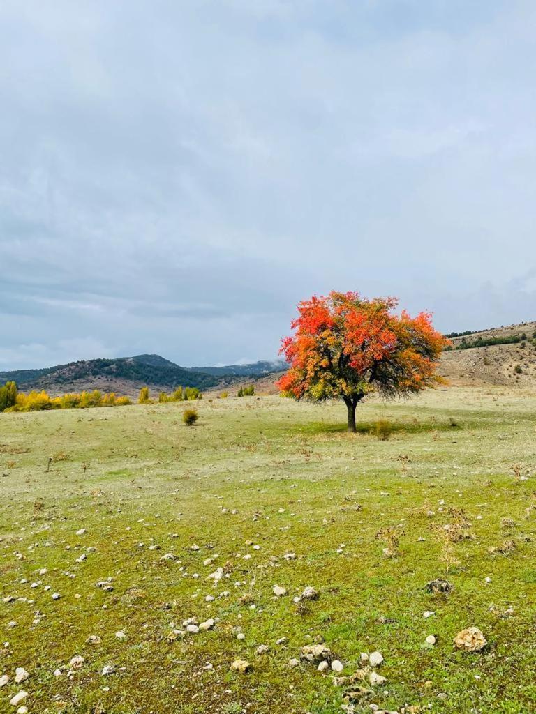 Las Colmenillas Tragacete Esterno foto